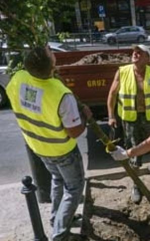 Łódź: Będzie zielono